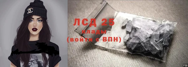 прущие грибы Зерноград