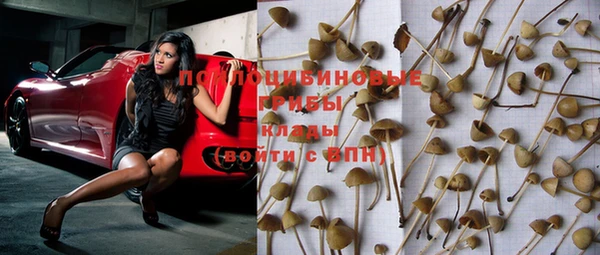 прущая мука Абдулино