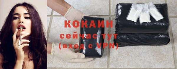 соль ск Абаза