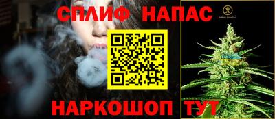 прущие грибы Конаково