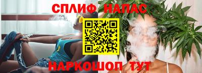 прущие грибы Конаково