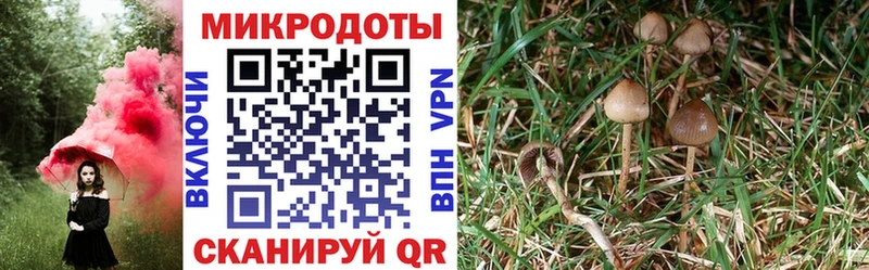 Галлюциногенные грибы ЛСД  Комсомольск-на-Амуре 