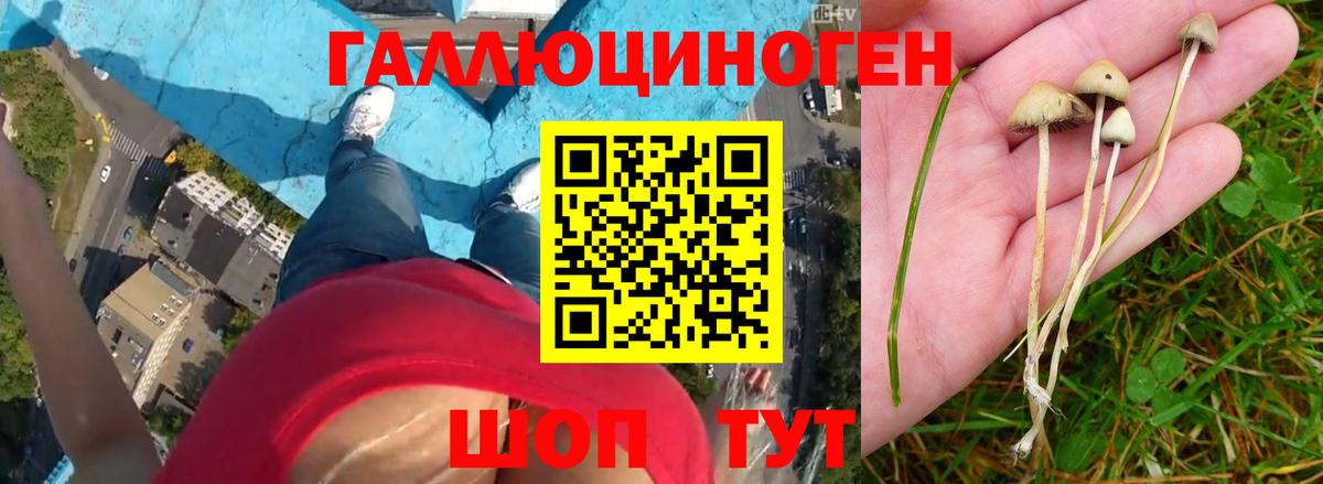 Комсомольск-на-Амуре  Галлюциногенные грибы MAGIC MUSHROOMS  Вход с VPN  Псилоцибиновые грибы MAGIC MUSHROOMS 