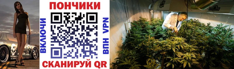 Канабис Bruce Banner  Комсомольск-на-Амуре 